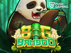 Online bingo casino app7